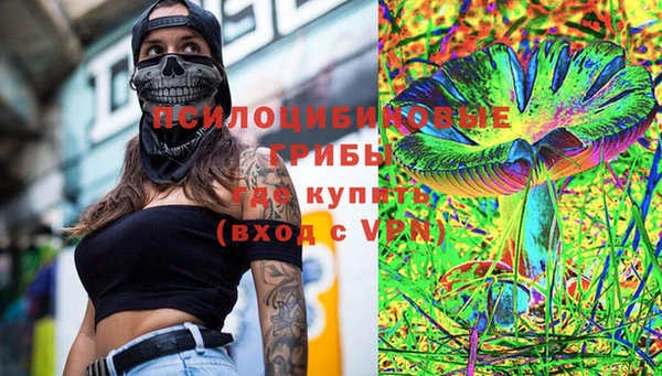 хмурый Вязьма